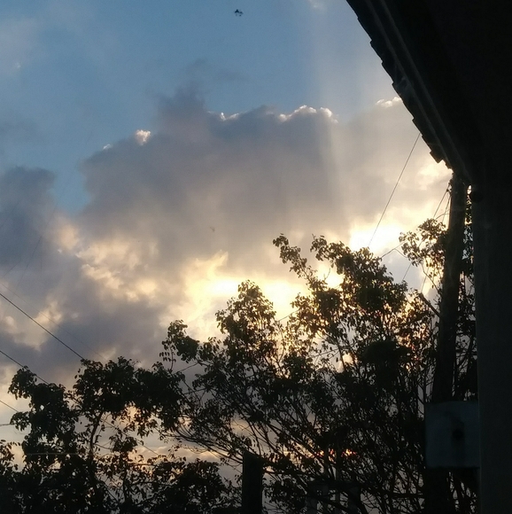 Meet your Posher,Belkis - Picture 5 of 8